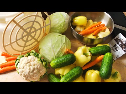 MEŠANA SALATA ZA ZIMNICU - TURŠIJA - KUPUS, KRASTAVCI, PAPRIKA