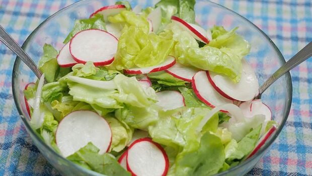 salata sa rotkvicom