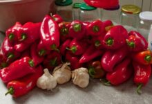 Paprika sa belim lukom bez konzervansa  