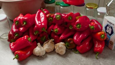 Paprika sa belim lukom bez konzervansa  